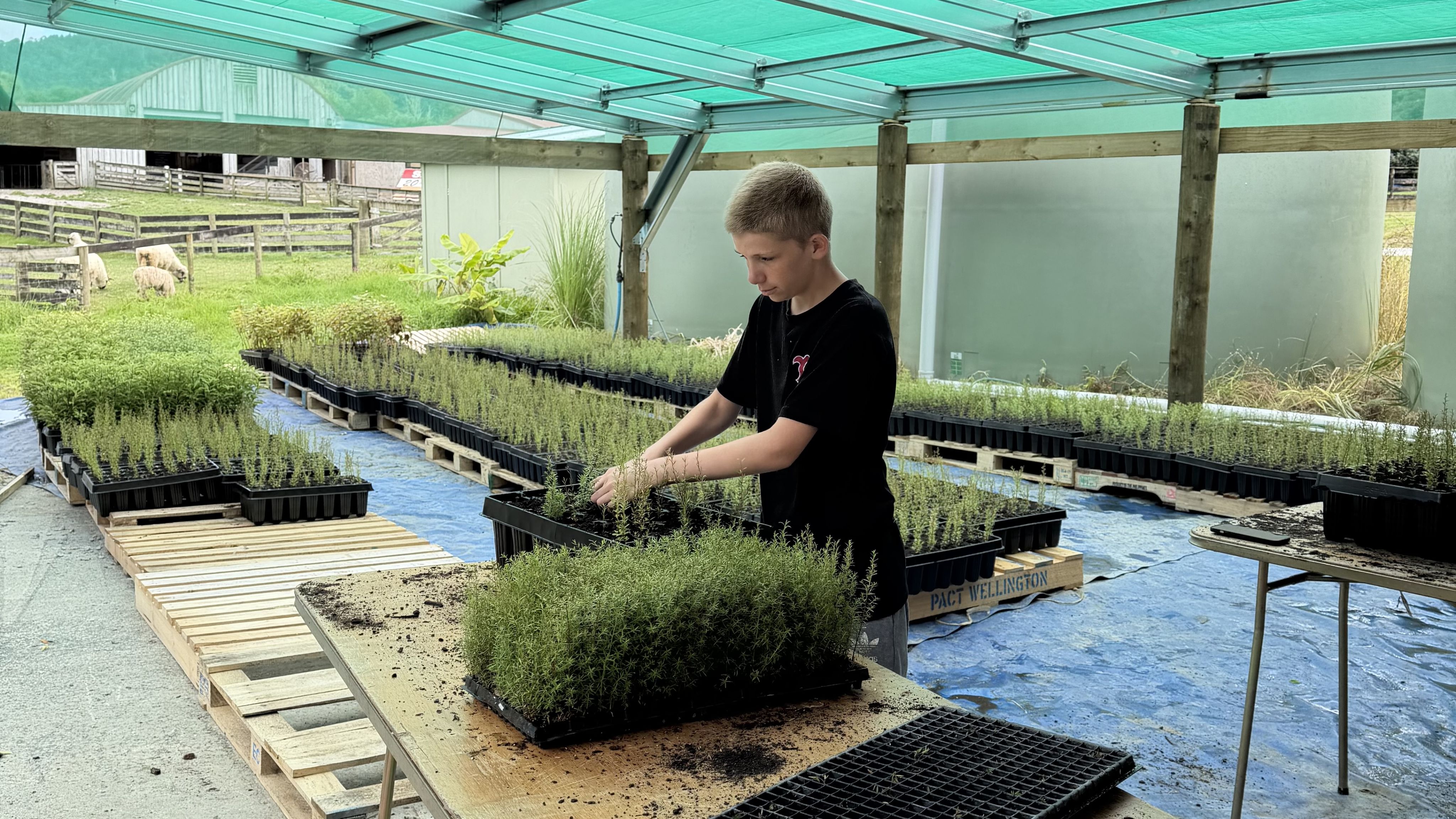 Adults attentively participate in an educational workshop, taking notes.