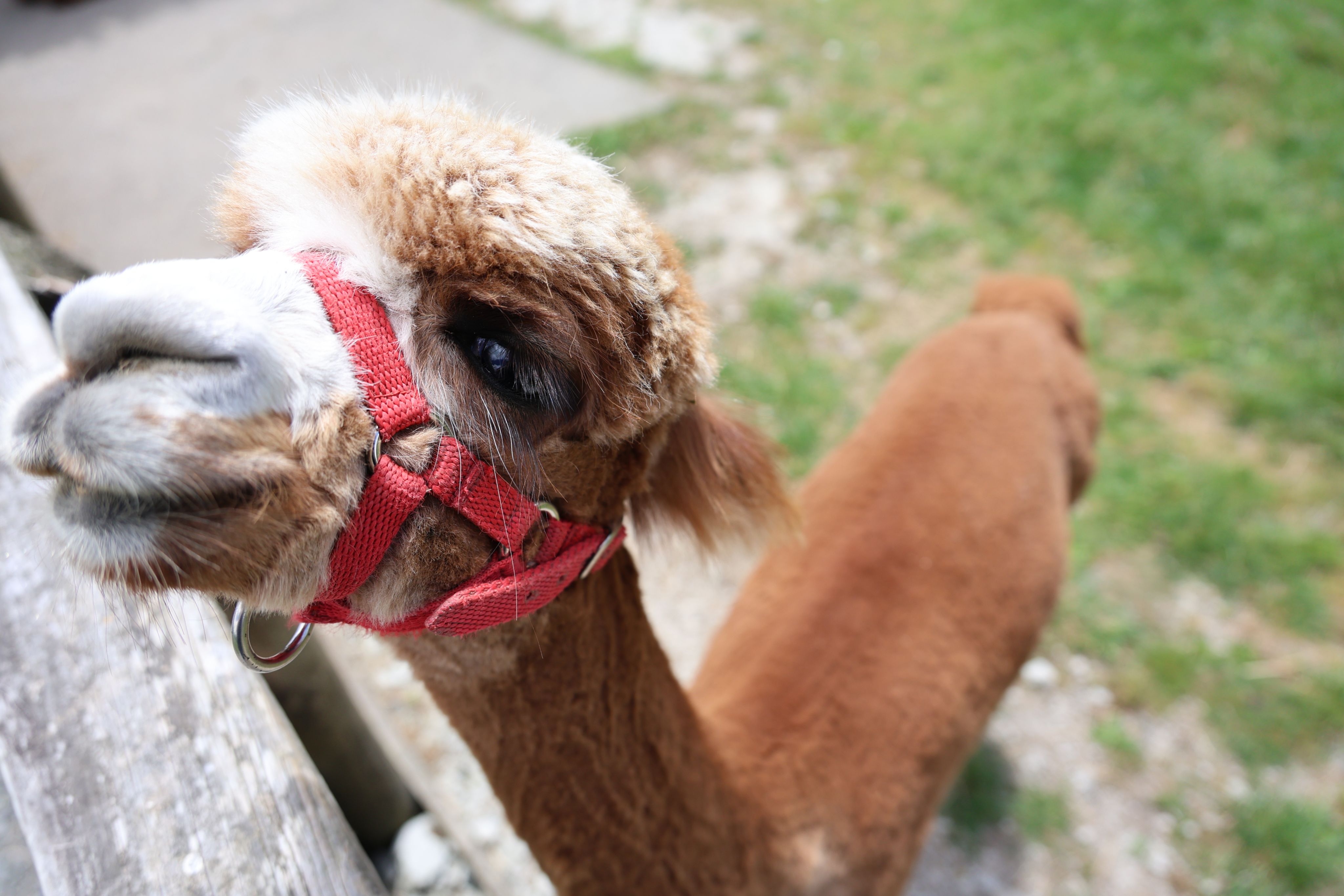 a man and a woman sitting at a table with a laptop